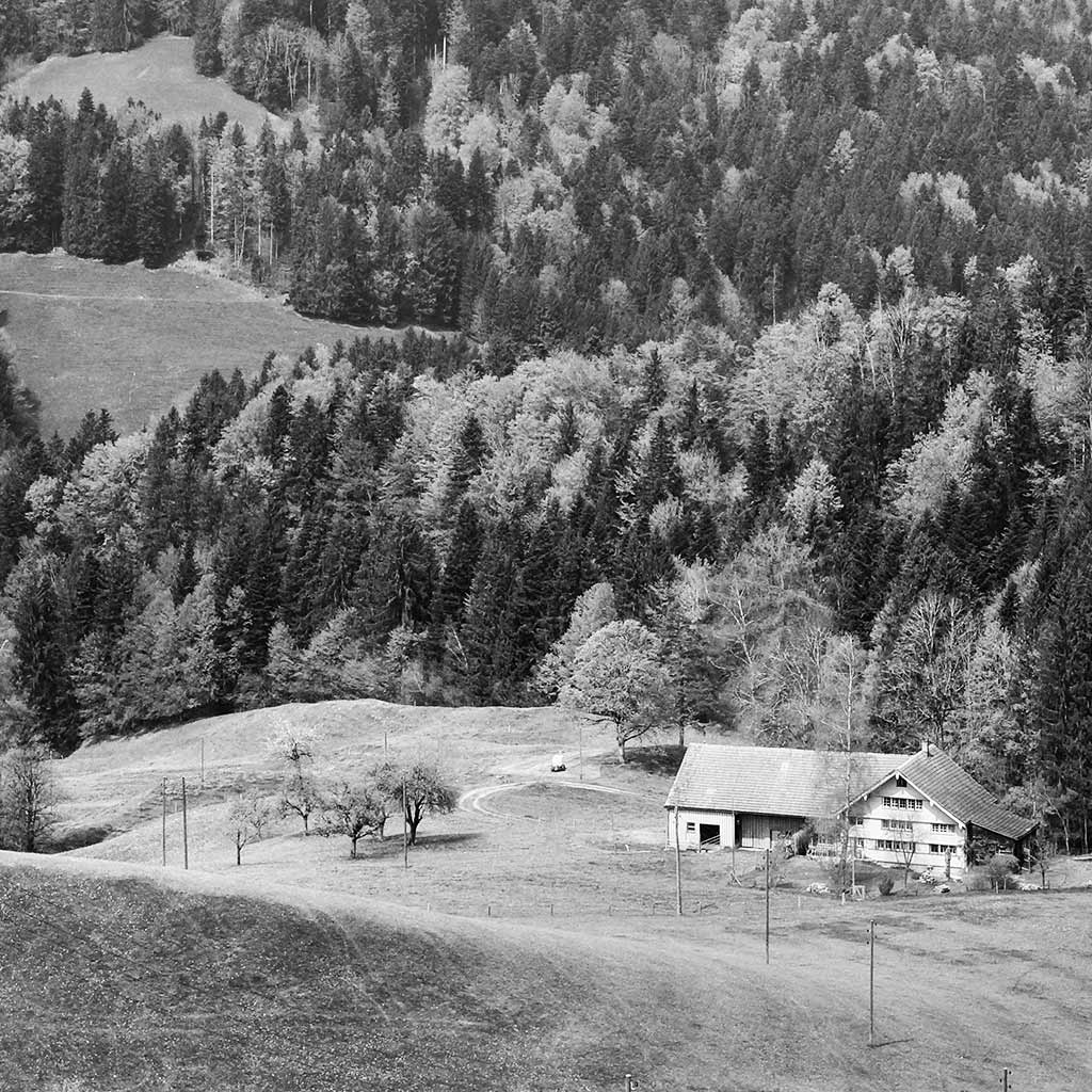 Umbau Bauernhaus Vordere Au Schwellbrunn